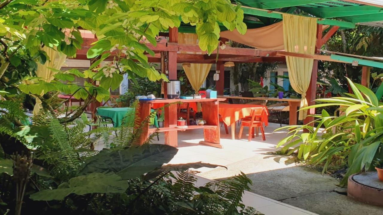 Cabinas Palmer Makanda Cahuita Ngoại thất bức ảnh