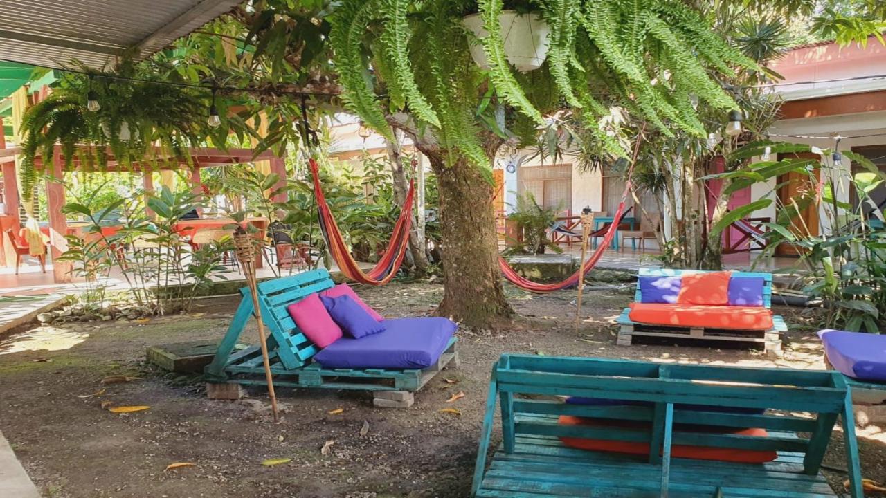 Cabinas Palmer Makanda Cahuita Ngoại thất bức ảnh