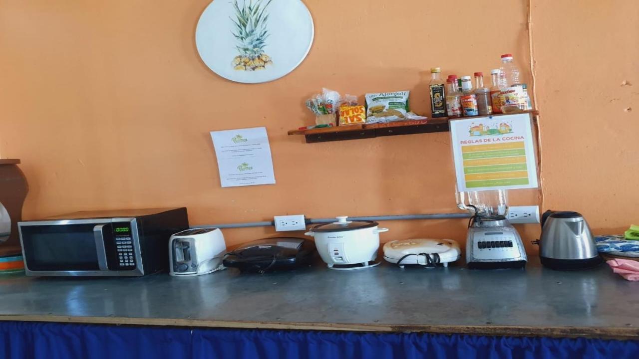 Cabinas Palmer Makanda Cahuita Ngoại thất bức ảnh