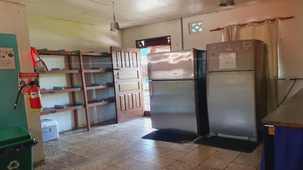 Cabinas Palmer Makanda Cahuita Ngoại thất bức ảnh