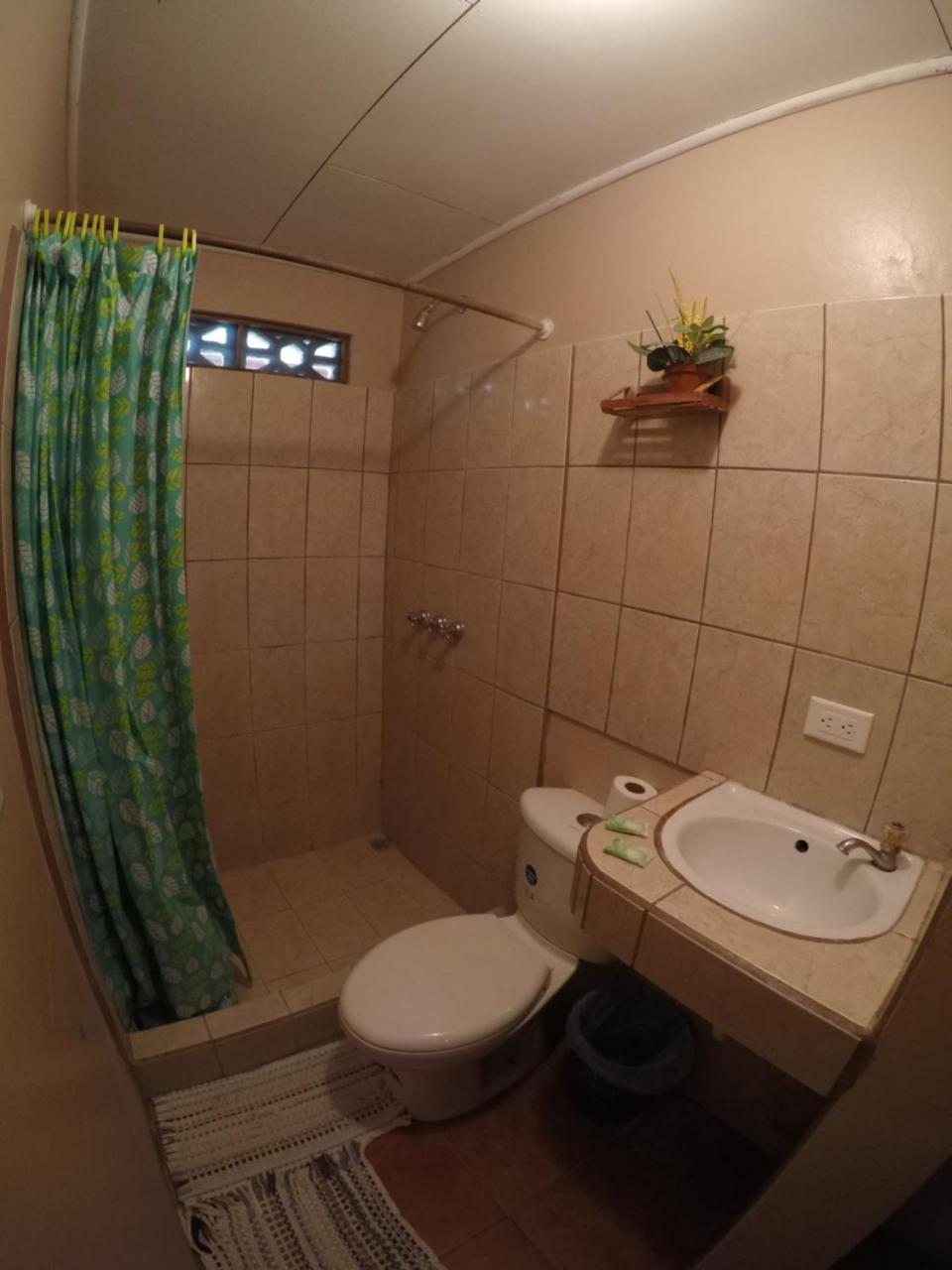 Cabinas Palmer Makanda Cahuita Ngoại thất bức ảnh
