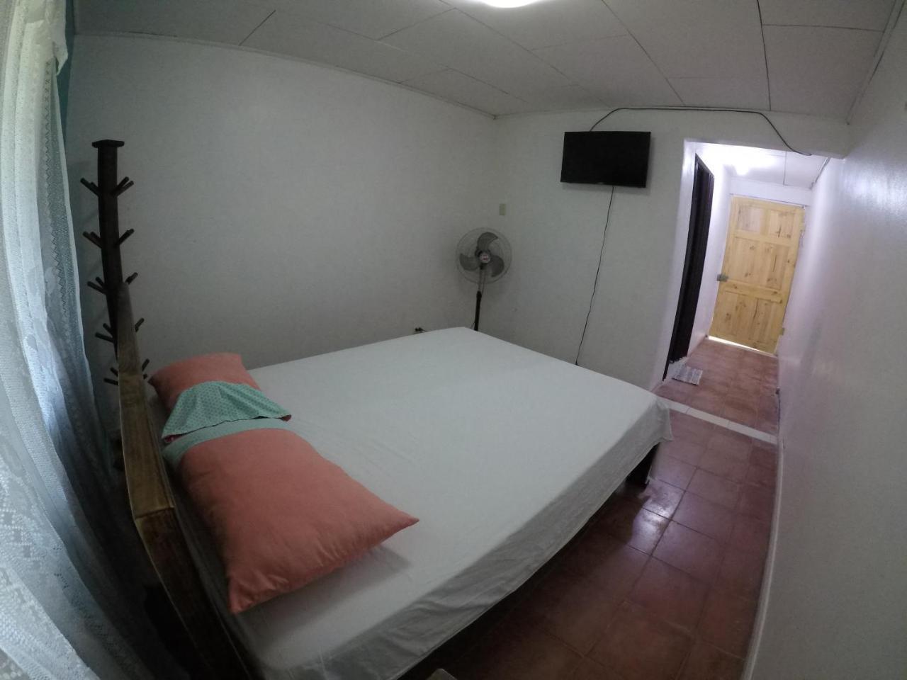 Cabinas Palmer Makanda Cahuita Ngoại thất bức ảnh